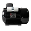 NICOLINI ELECTRIC MOTOR 2.2KW 3HP 230V F100